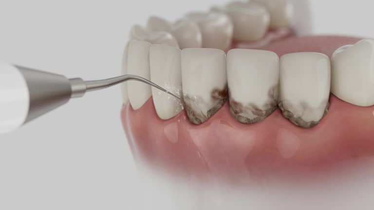 Reliable Dental contractor in Rainbow Park, FL by Dentist Open Now